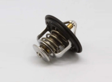 Spoon Sports Low Temp thermostat V1
